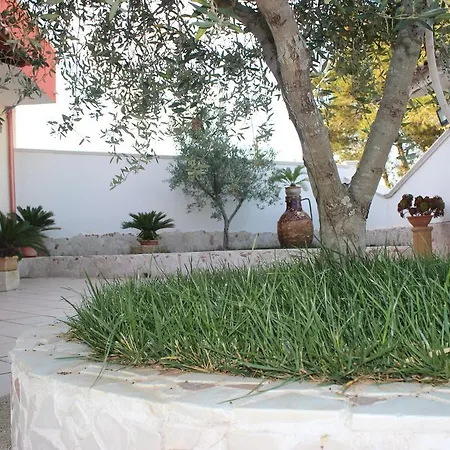 Assuntina * Cellino San Marco